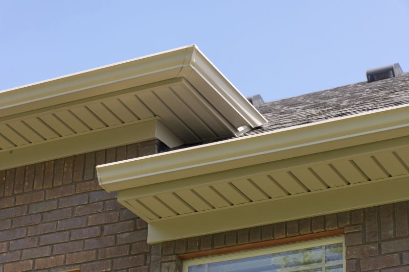 Porch Ceiling Replacement in Olathe, KS