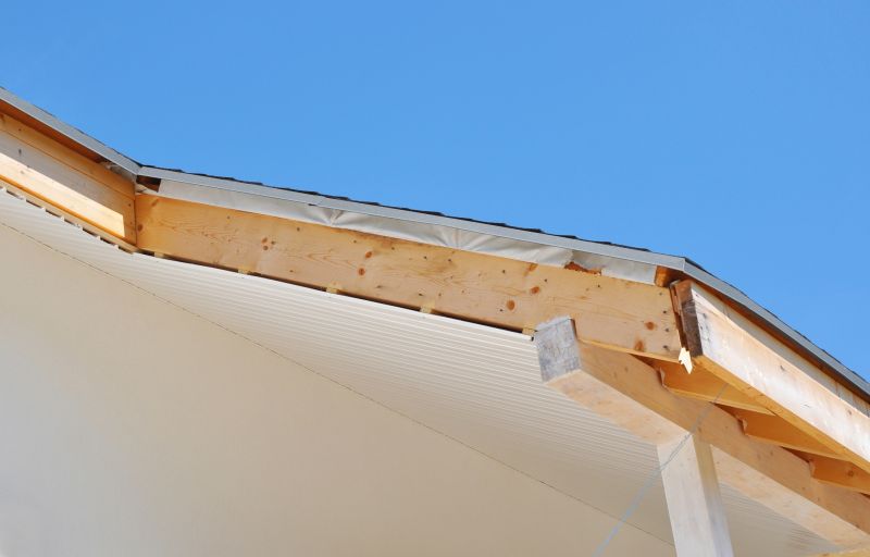 Rotted Fascia Repair in Conroe, TX