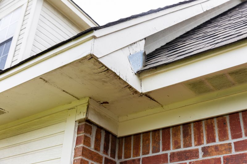 Vinyl Molding Repair in Conroe, TX